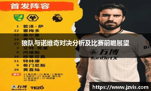 狼队与诺维奇对决分析及比赛前瞻展望